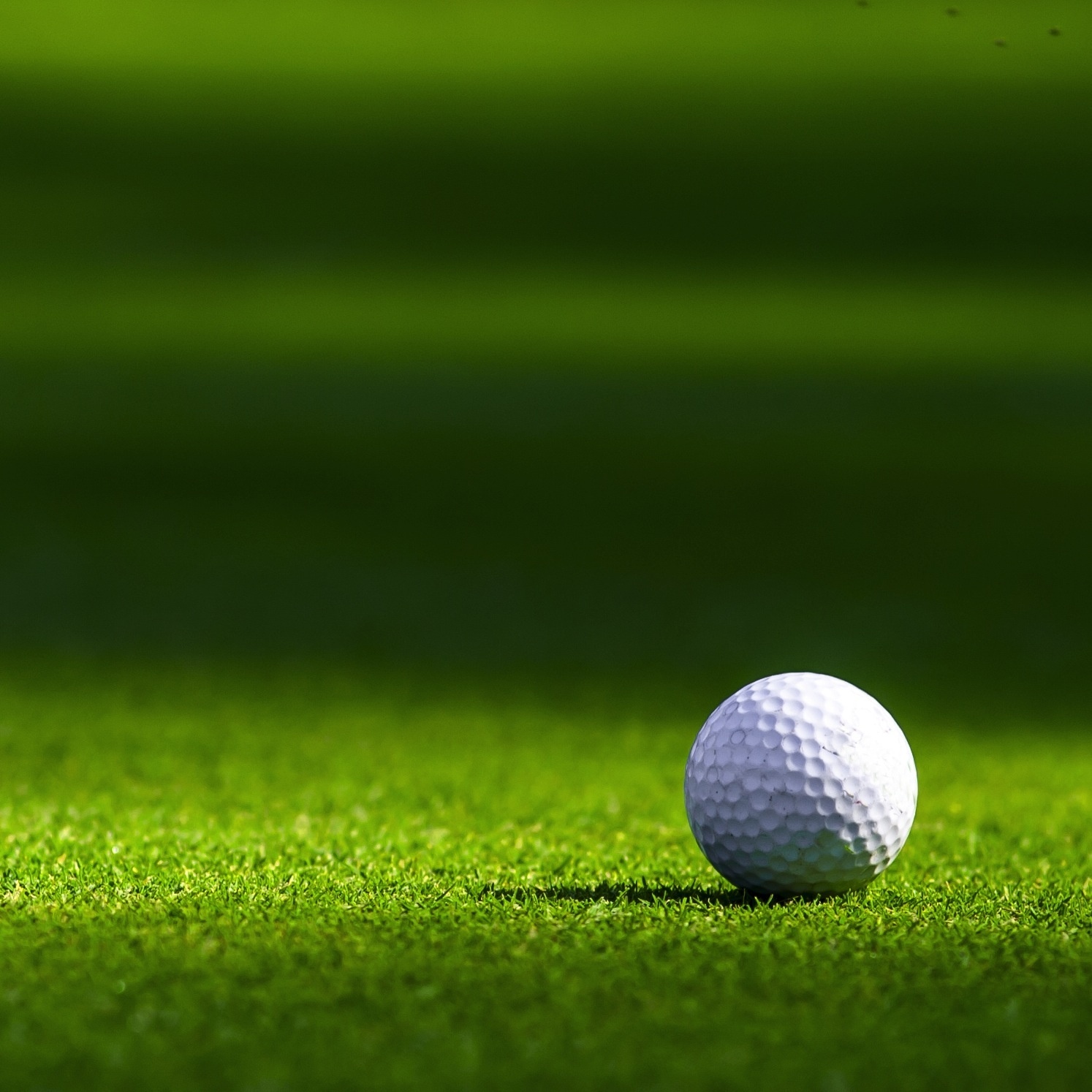 Book securely with Ross Murdoch PGA Pro | fibodo