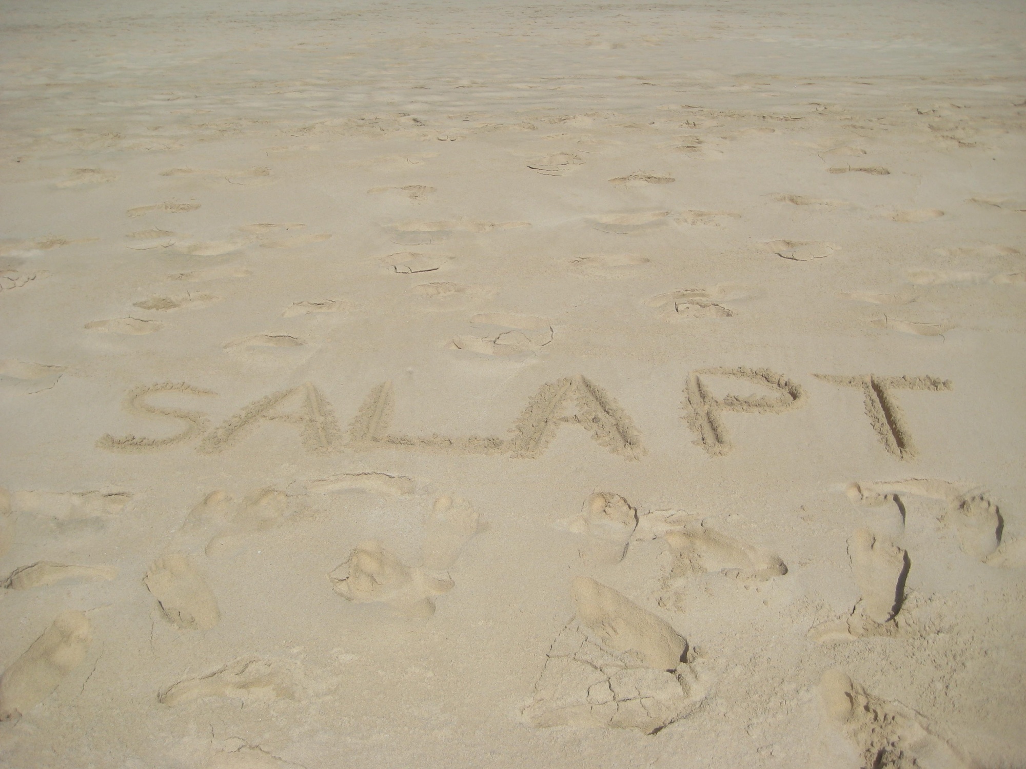 Book securely with SALA Personal Training | fibodo
