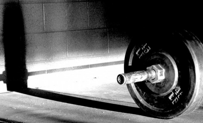 Book securely with Athletic Human Systems | fibodo