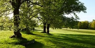 Book securely with Grayshott Spa | fibodo