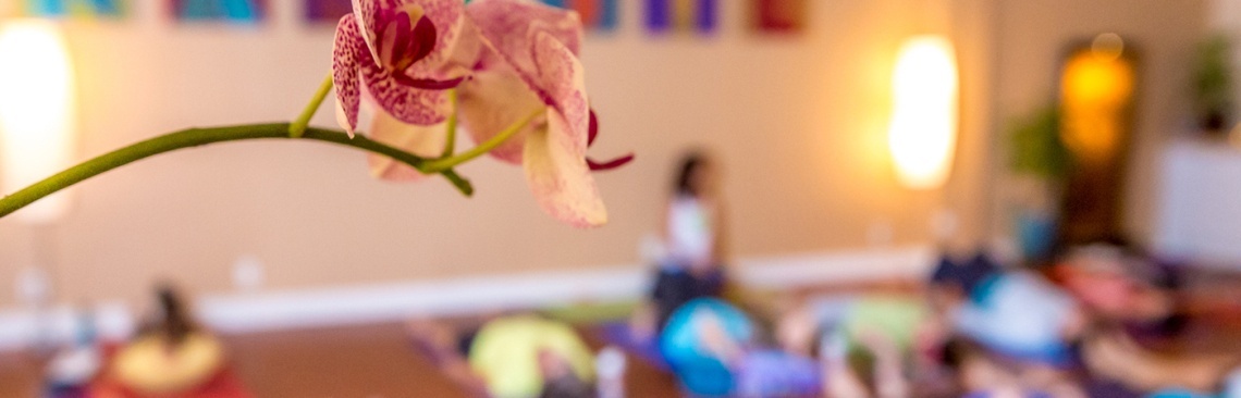 Book securely with Yoga Flo-ga | fibodo