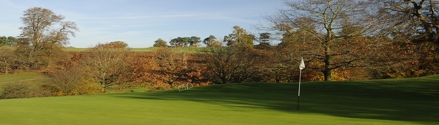 Book securely with Ian Lewis PGA - Knole Park Golf Club | fibodo